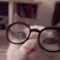 The Purr Evil Dafuq Is This 
