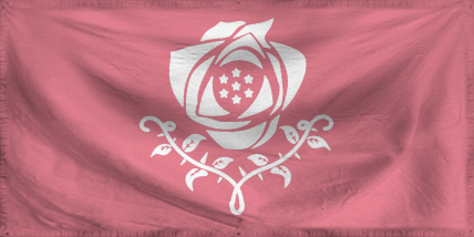 The Democratic Socialist Sta