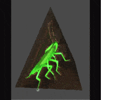 The Cockroaches of the Waste