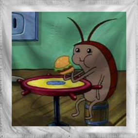 The Actually Not United Stat