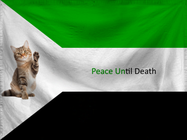 The Moralistic Democracy of 