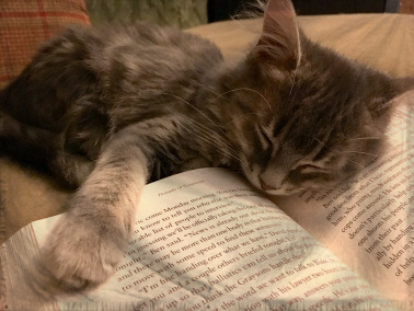 The Empire of Nythar