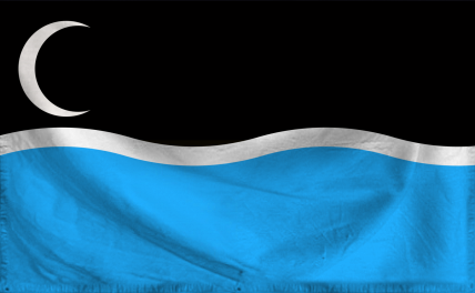 The Dictatorship of Of the w