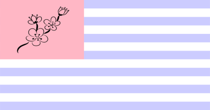 The Republic of Operation Ch