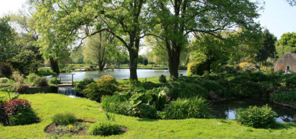 The Empire of Pacific Garden