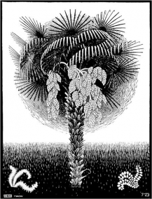 The Republic of Palm Tree-