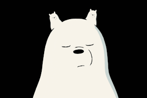 The Infinity Ice Bear of Pet