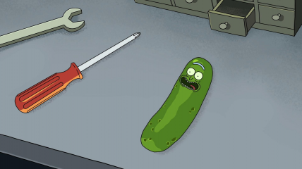 The Kingdom of Pickle Rick
