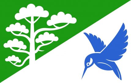 The Republic of Polva