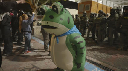 The Dominion of Portland Fro