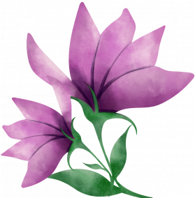 The Purple flowers of Purple