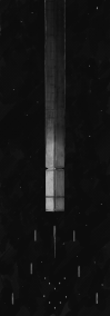 The Interplanetary Alliance 