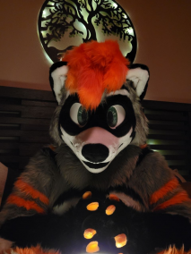 The Commonwealth of RaccLand