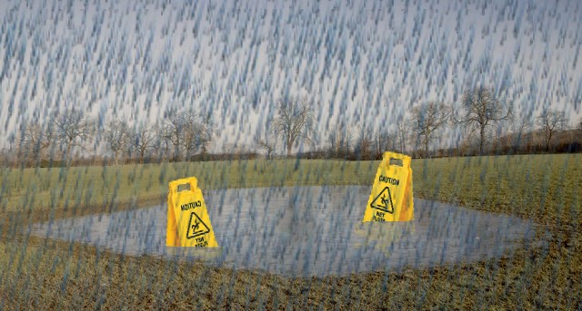 Regional Flag of A Rather Large Puddle