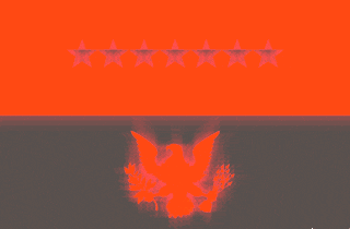 Regional Flag of Taskforce Blackbird