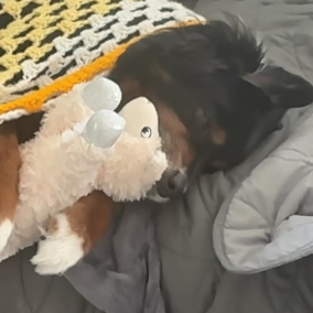 The Principality of Ronesan