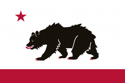 The Card Slave of Rteraegsuh