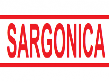 The Republic of Sargonica