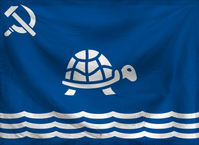 The United Socialist States 