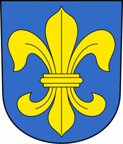 The Republic of Schlieren