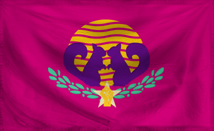 The Democratic Socialist Uni