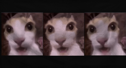 The Dictatorship of SecuritE