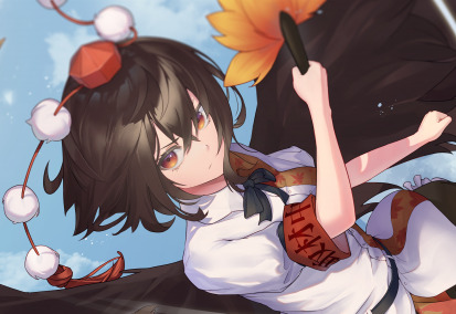 The Crow Tengu Reporter of S