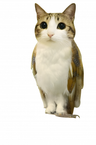 The Meowlhive of Shiny Neptu