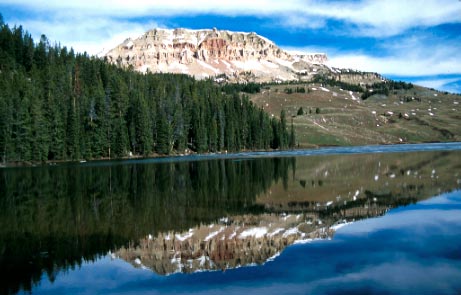 The Republic of Shoshone Nat