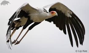 The Holy Empire of Skysend