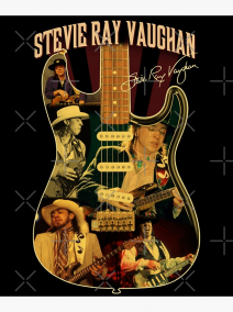 The People's Music of Stevie