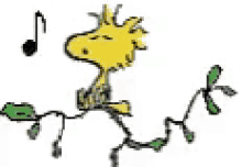 The Woodstock of Stupid Bird