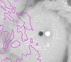 The Wrath of Super Typhoon H