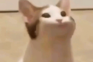 The Questionable Dictatorshi