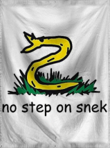 The Republic of Swaker