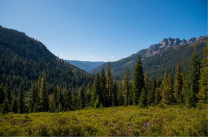 The Republic of Tahoe Nation