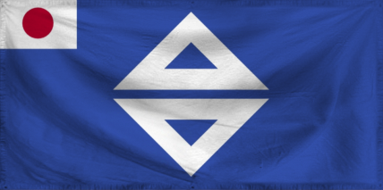 The Protectorate of Taiwan S