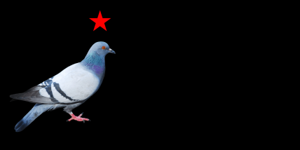 The Republic of Tan Nok Khao