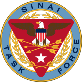 The Republic of Task Force S