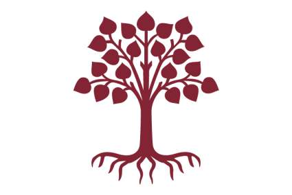 The Borderland Dimension of 