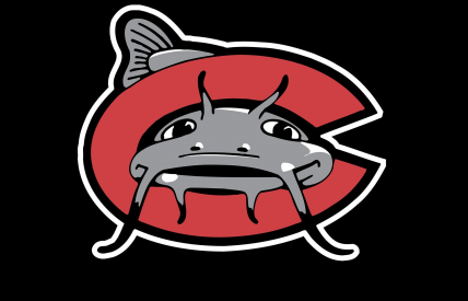 The Minor League Baseball Te