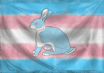 The Matriarchy of The counci