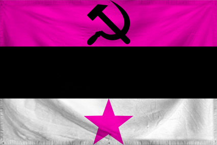 The United Socialist States 