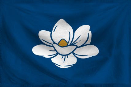 The Democratic Minion's Repu