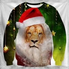 The Joyful Waiting of The Ho