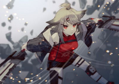 The Republic of The kitsune