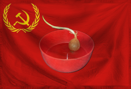 The United Socialist States 