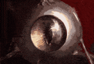 The Dominion of The Overmind