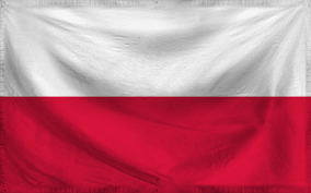 The Democratic Republic of T