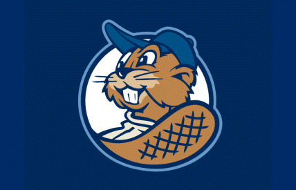 The Minor League Baseball Cl